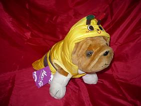 Cappottino ape
